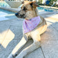 Isle of Palms- Pink