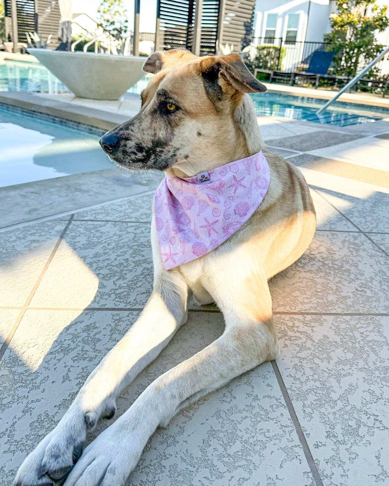 Isle of Palms- Pink