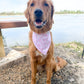 Isle of Palms- Pink