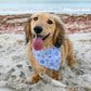 Isle of Palms- Blue
