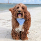 Sullivan’s Island