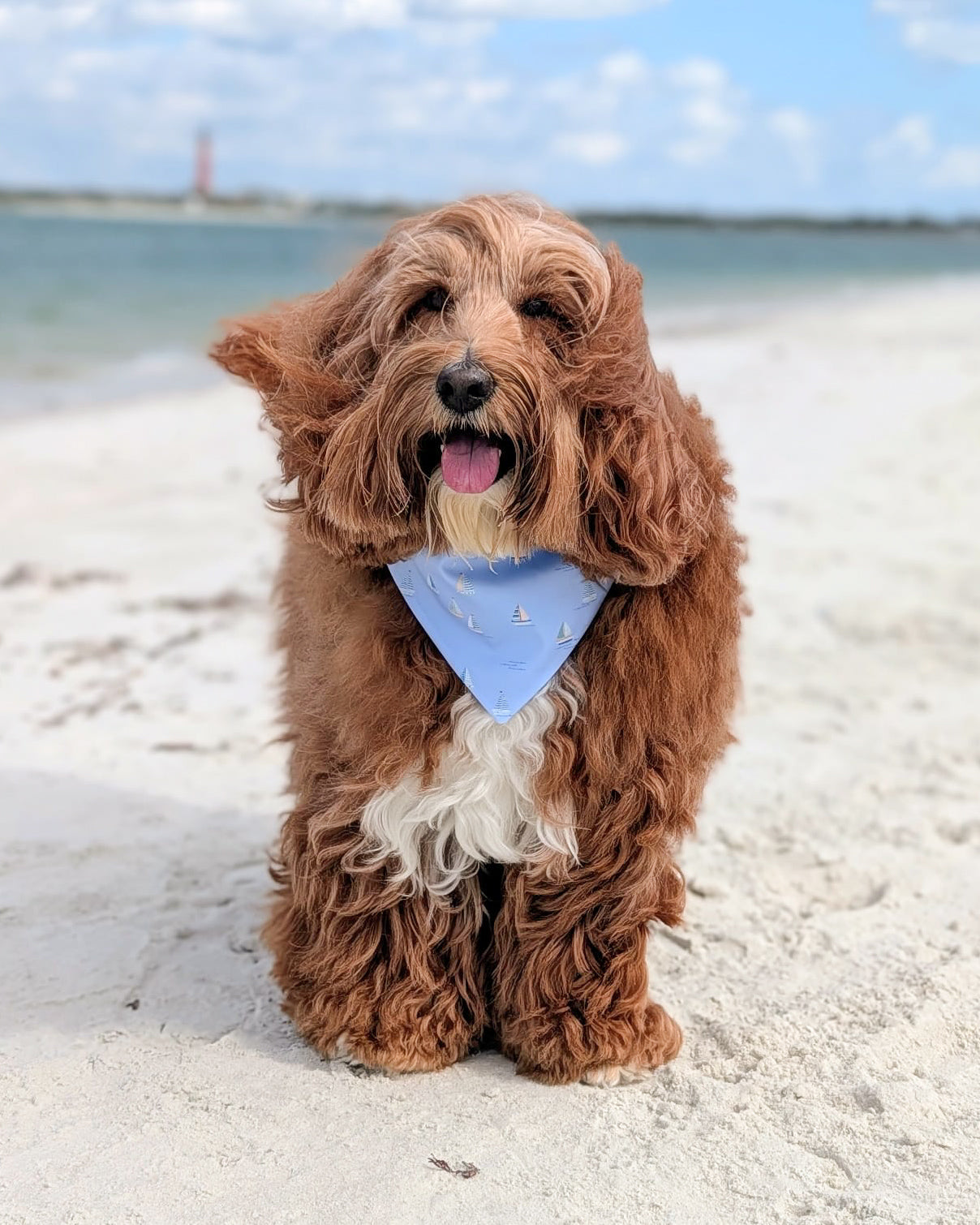 Sullivan’s Island