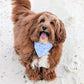 Isle of Palms- Blue
