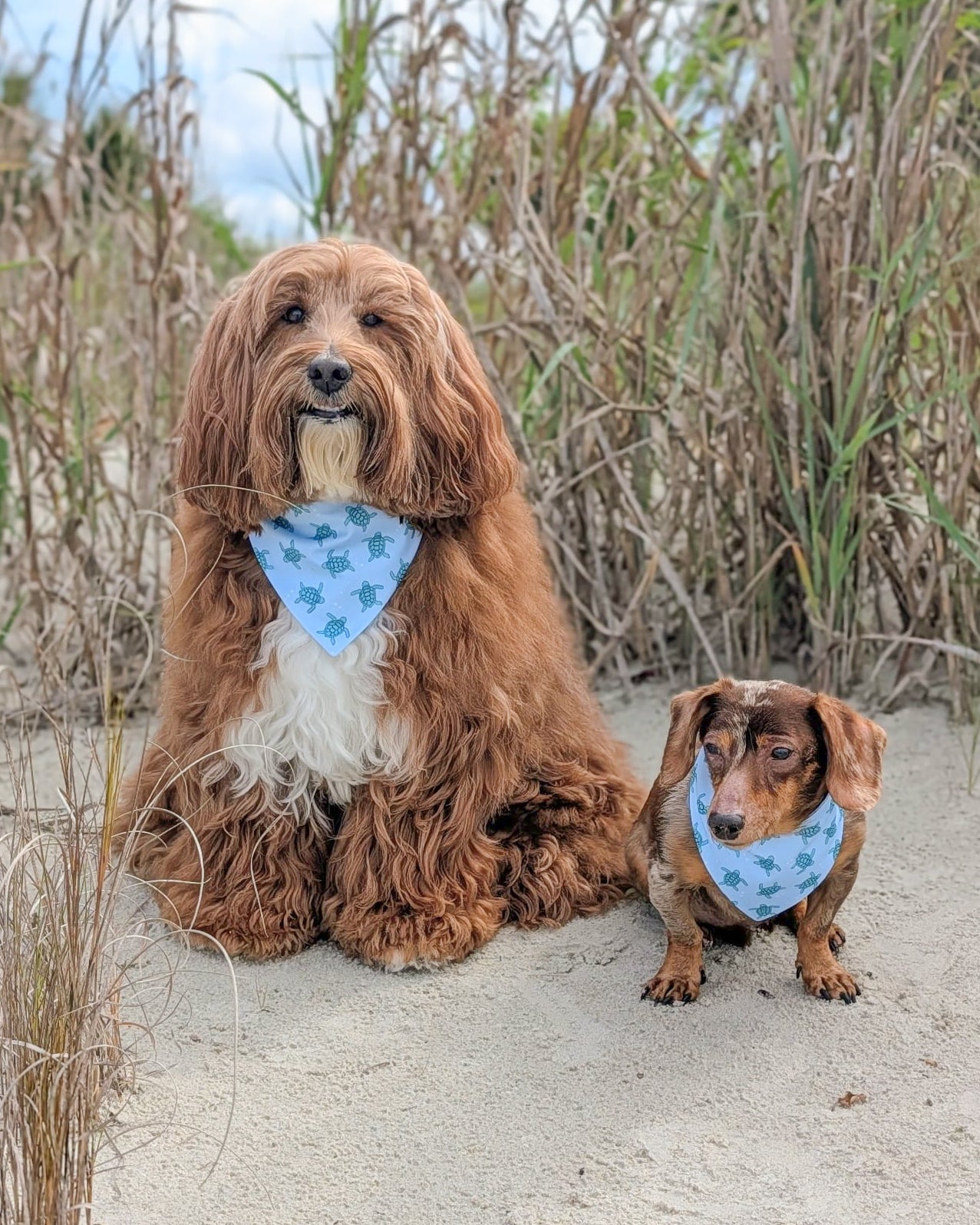 Folly Beach- mint