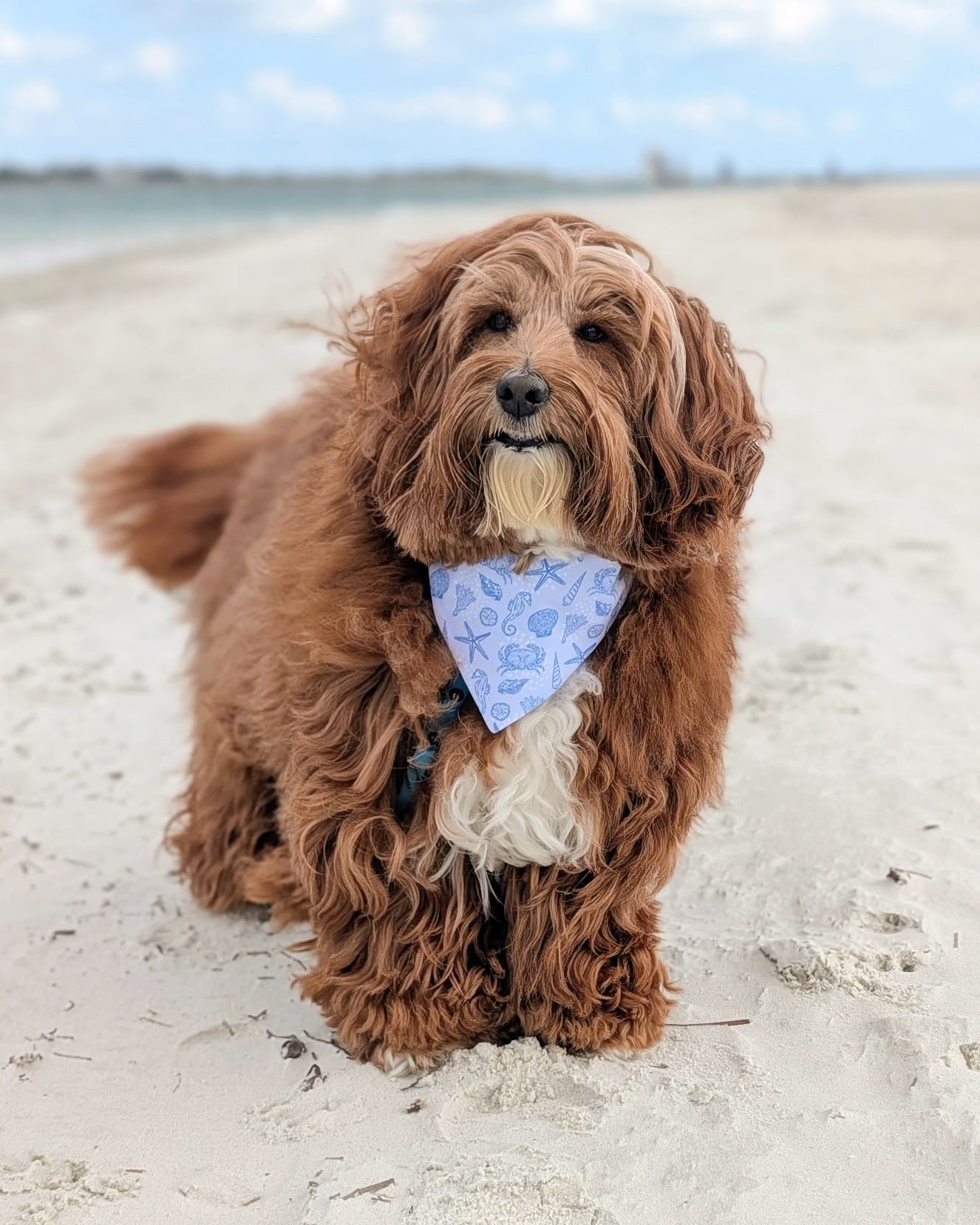 Isle of Palms- Blue