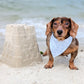 Folly Beach- mint