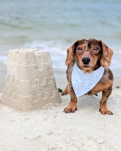Folly Beach- mint