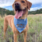 Fall BYOB (build your own bandana)