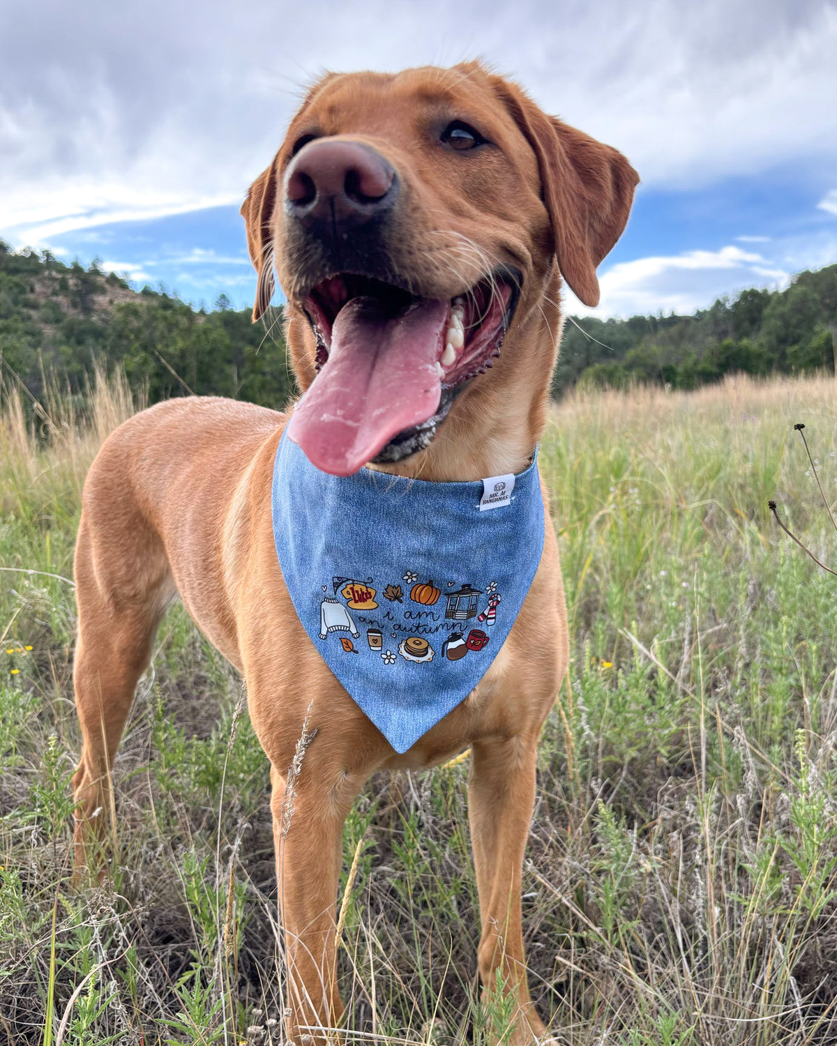 Fall BYOB (build your own bandana)