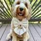 Summer Collar Bows