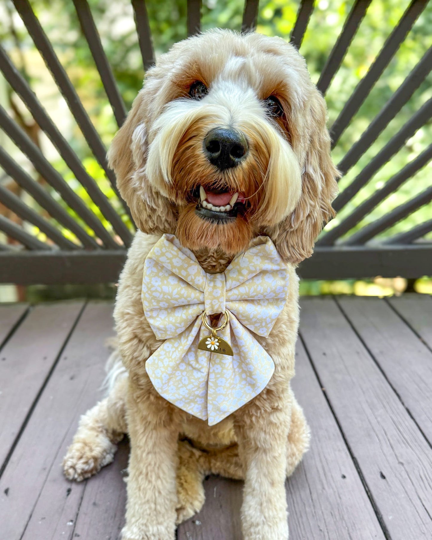 Summer Collar Bows