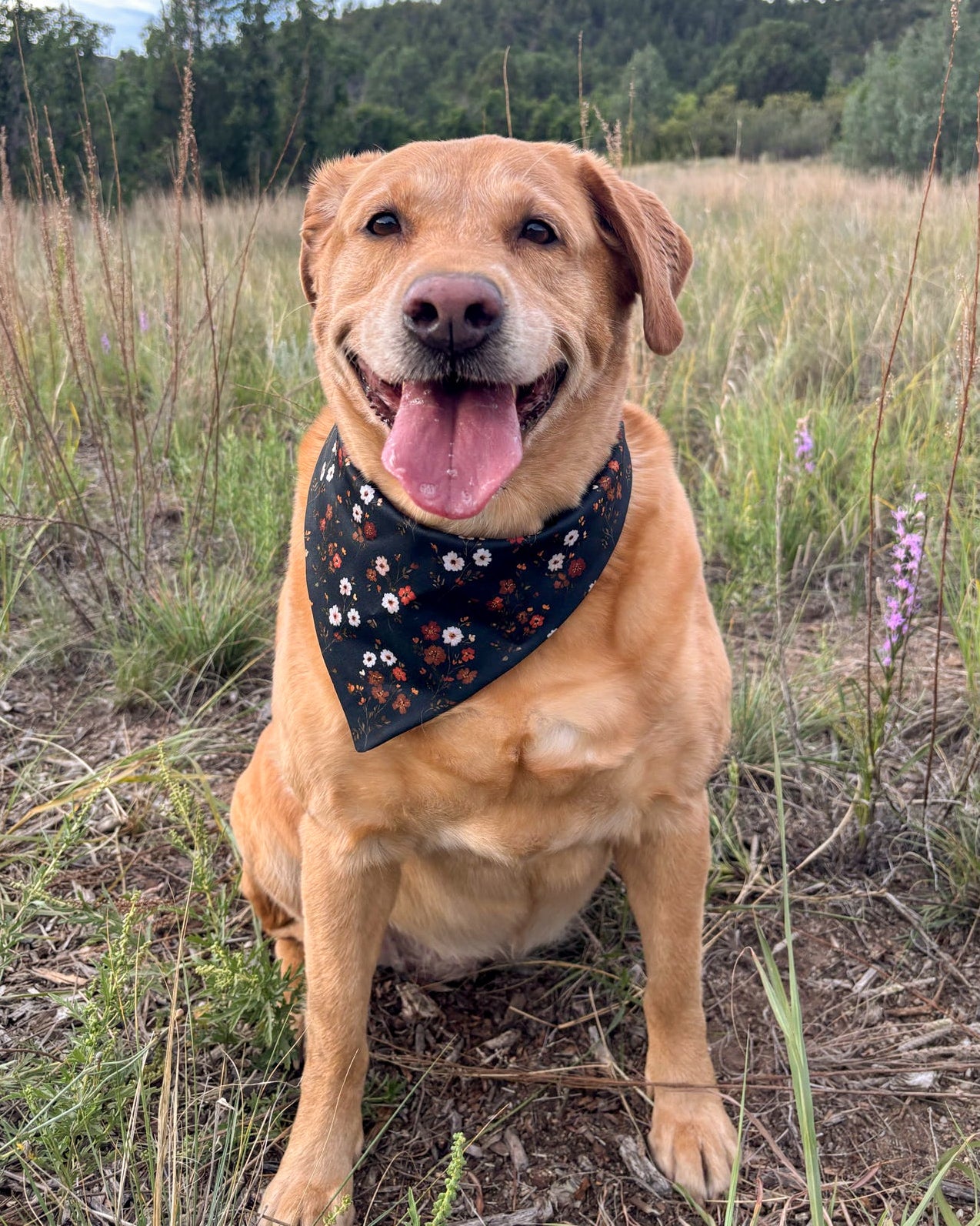 Fall BYOB (build your own bandana)