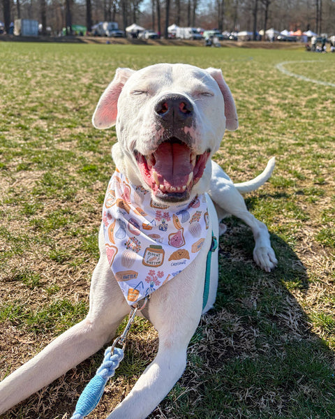 Sunday Morning- RESTOCKED