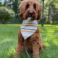 Fall BYOB (build your own bandana)