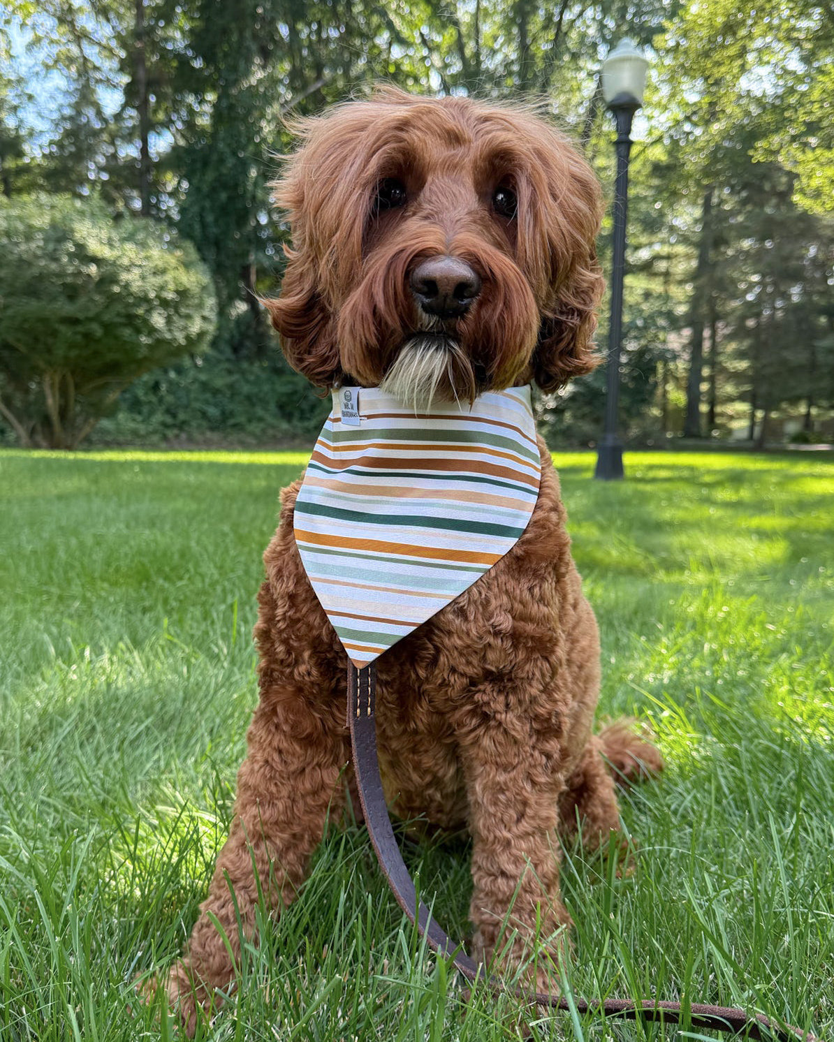 Fall BYOB (build your own bandana)