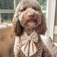 Summer Collar Bows