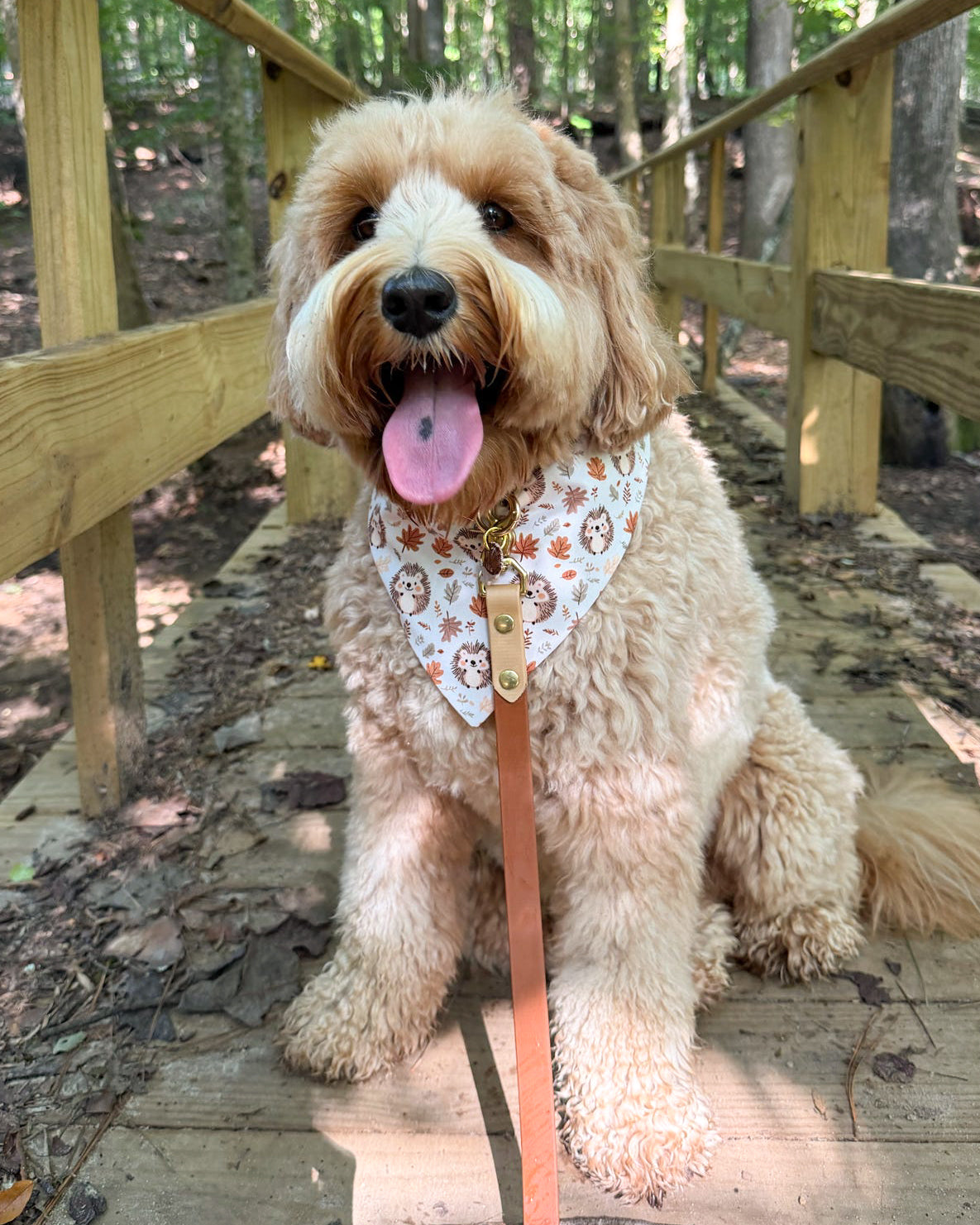 Fall BYOB (build your own bandana)