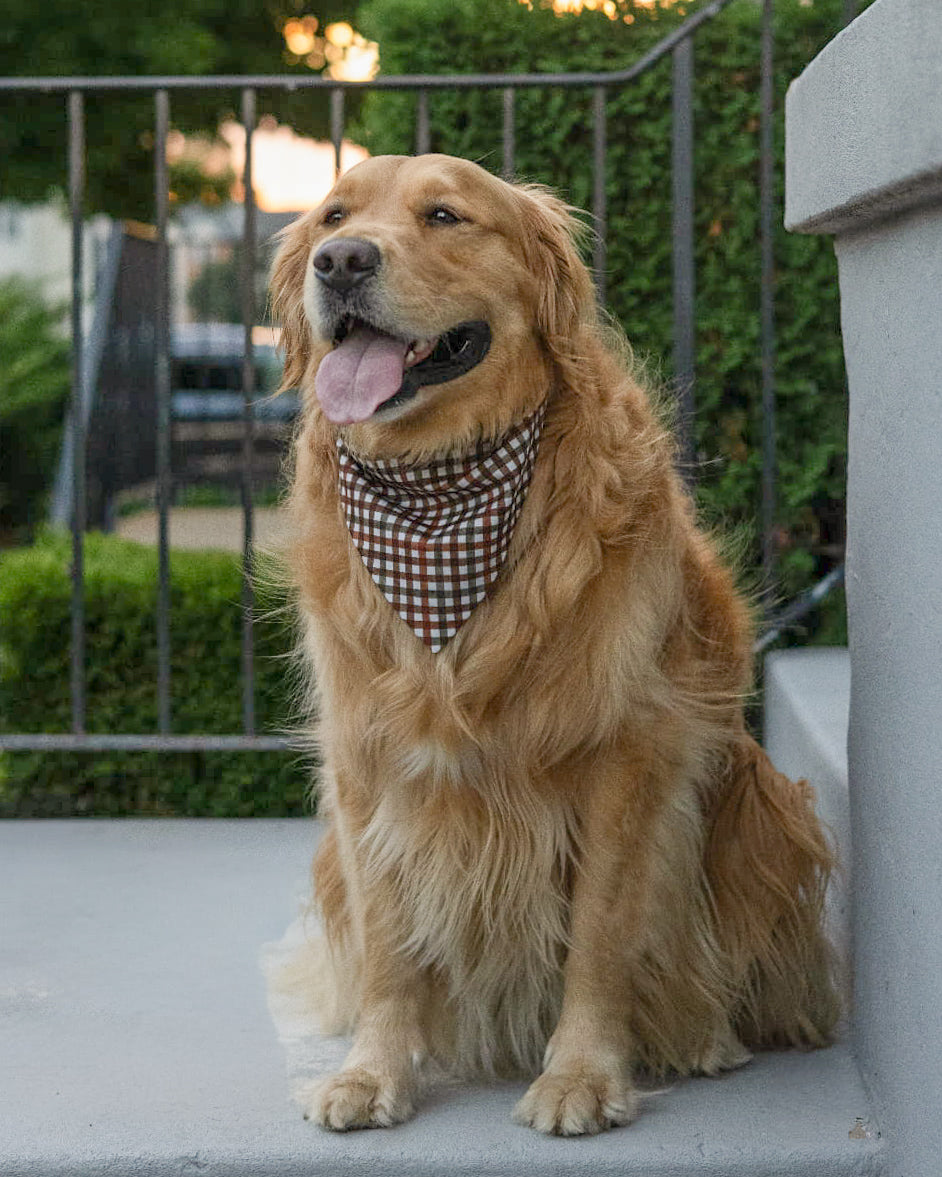 Fall BYOB (build your own bandana)
