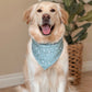 Bark ranger- choose your colorway!