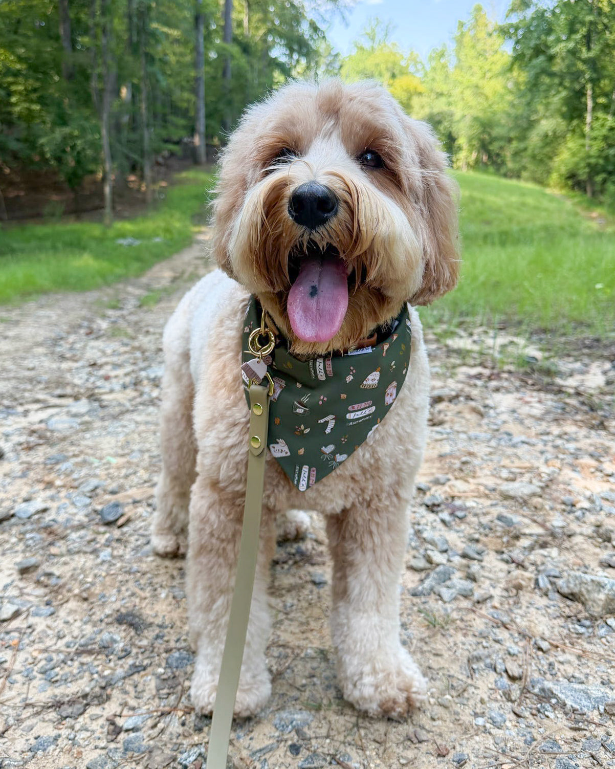 Fall BYOB (build your own bandana)