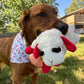 Lambie lover