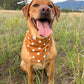 Fall BYOB (build your own bandana)