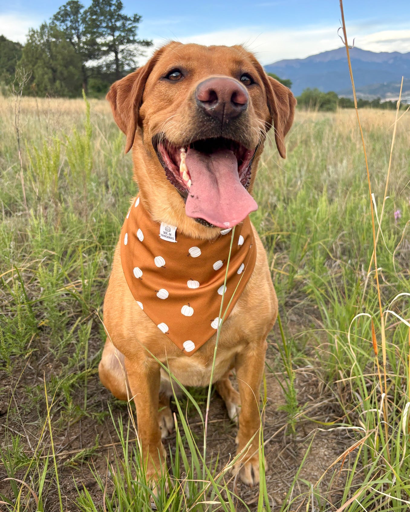 Fall BYOB (build your own bandana)