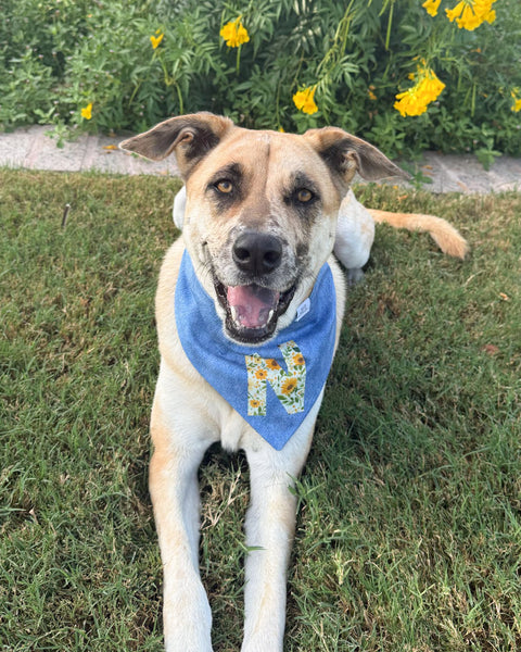 Fall BYOB (build your own bandana)