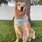 Bark ranger- choose your colorway!