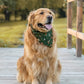 Fall BYOB (build your own bandana)