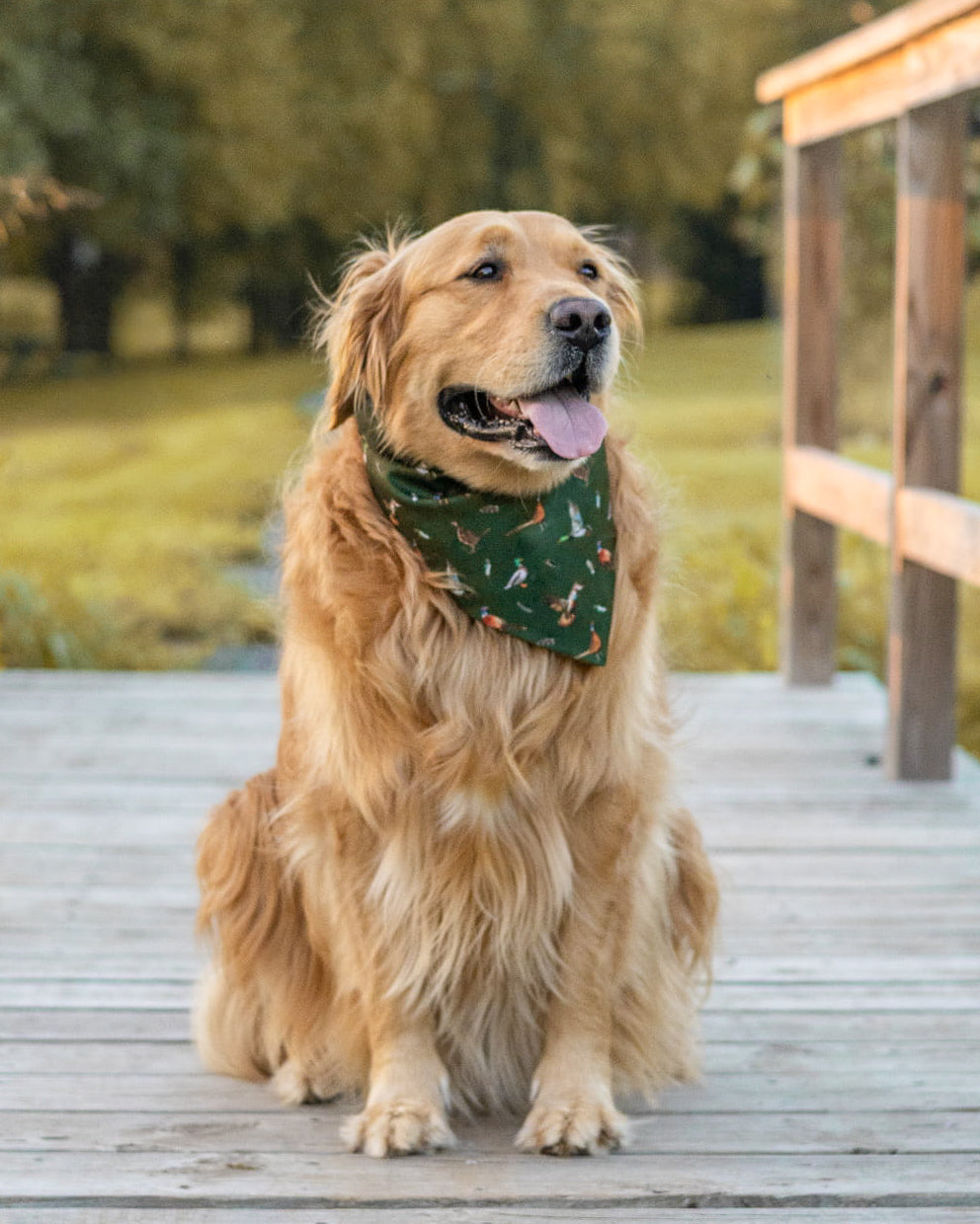 Fall BYOB (build your own bandana)