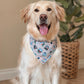 Bark ranger- choose your colorway!