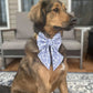 Everyday Essentials Collar Bows