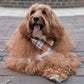 Fall BYOB (build your own bandana)