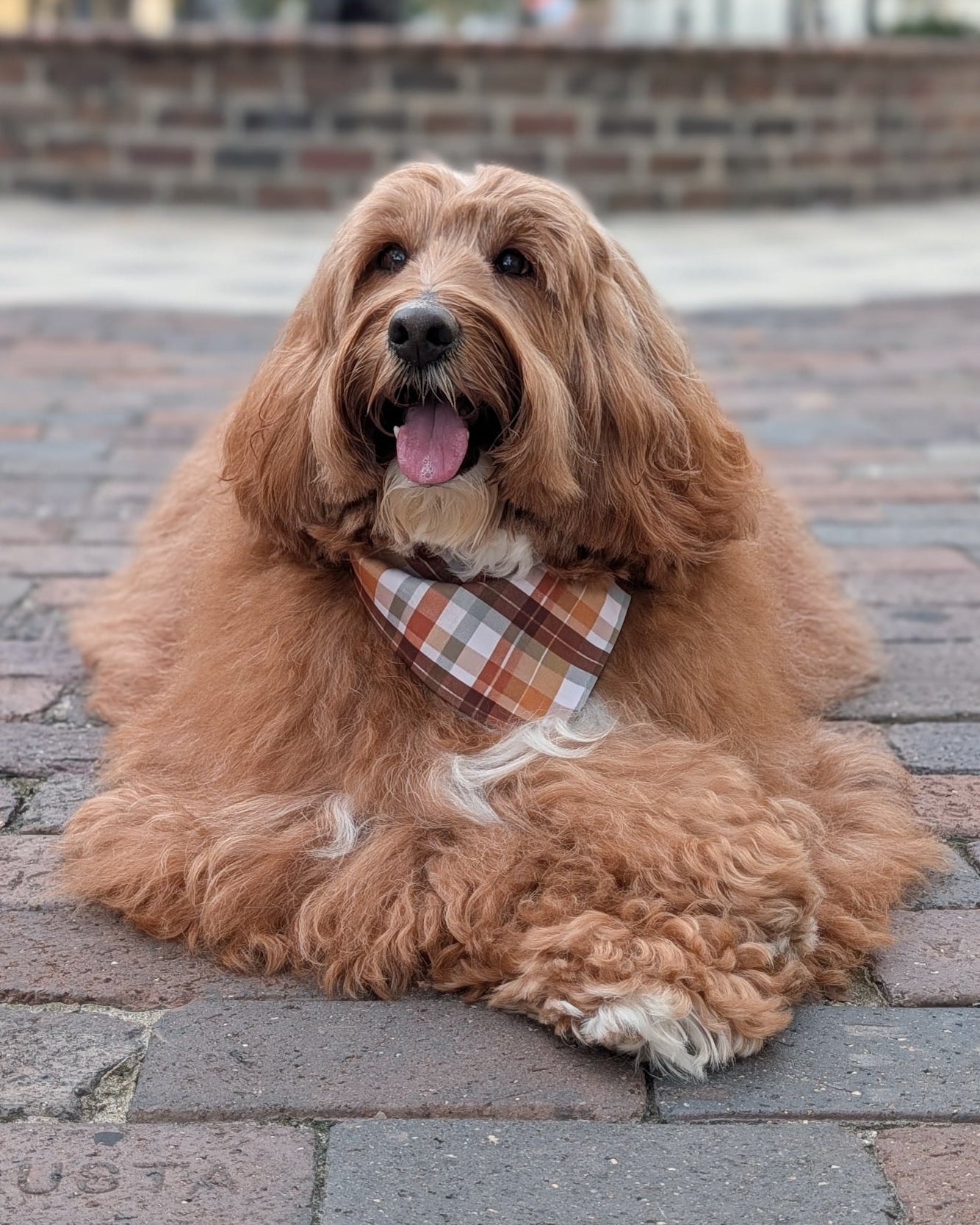 Fall BYOB (build your own bandana)