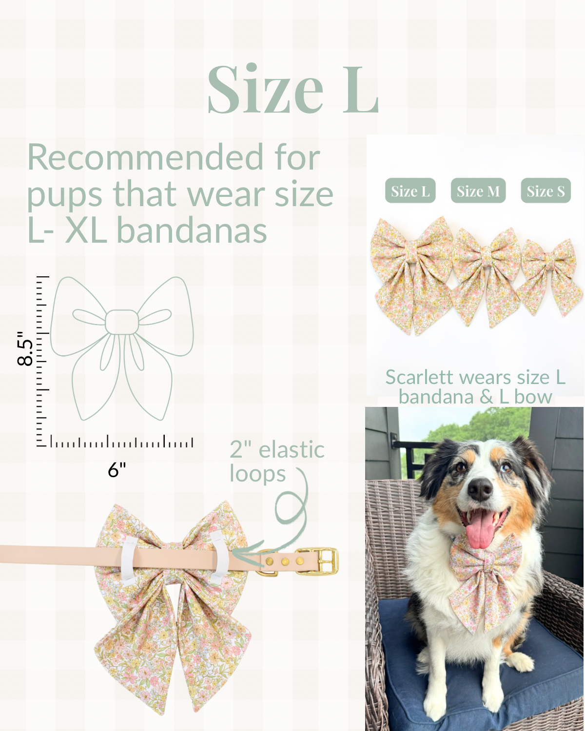 Summer Collar Bows