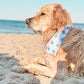 Folly Beach- pink