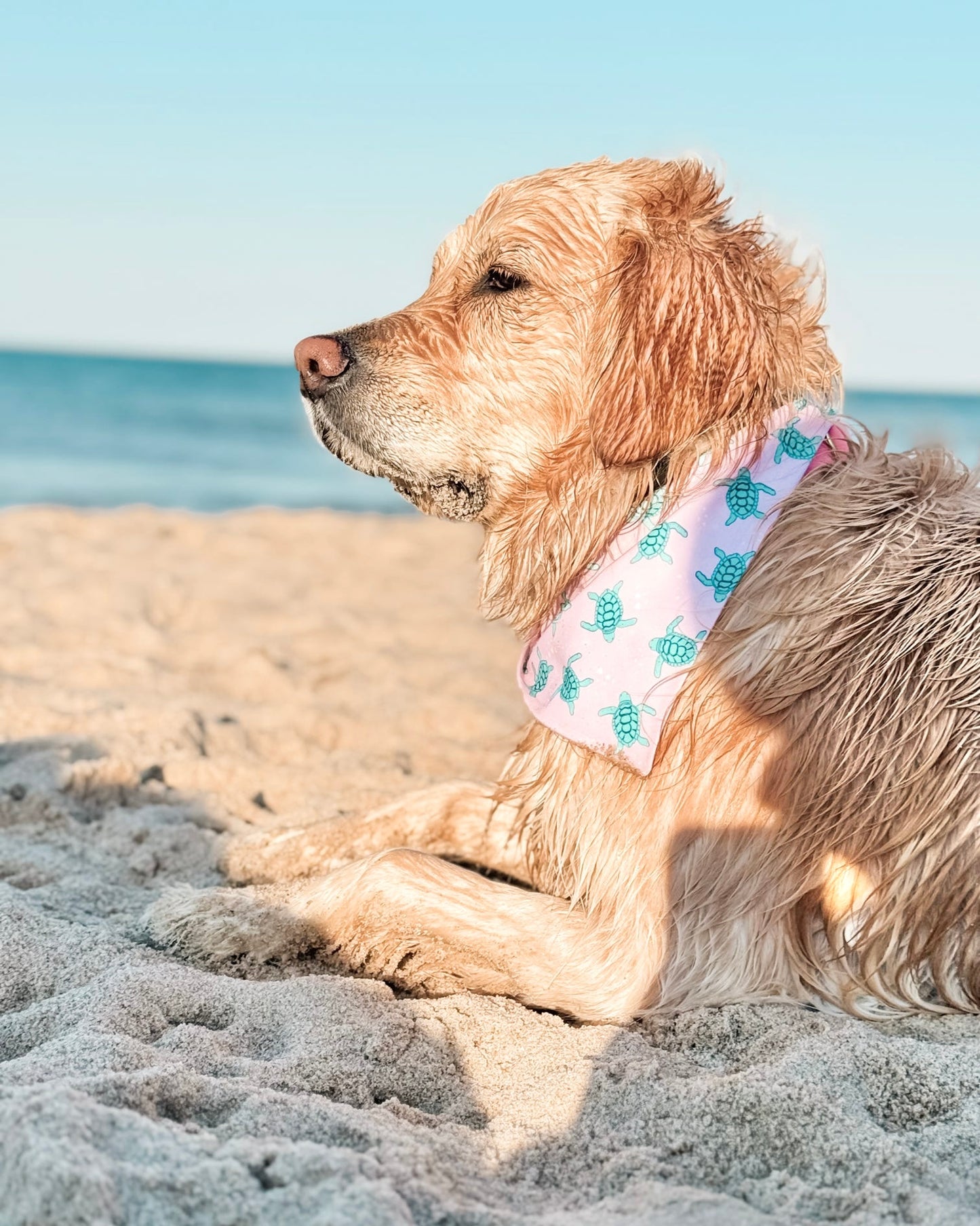 Folly Beach- pink