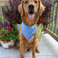 Fall BYOB (build your own bandana)