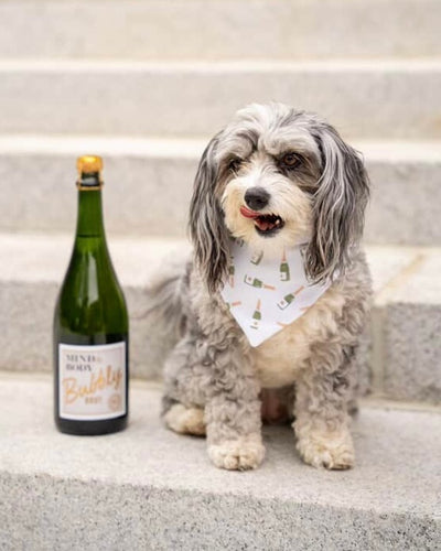 Champagne toast- choose your colorway- SALE