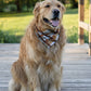 Fall BYOB (build your own bandana)