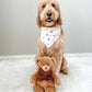 Beary cute