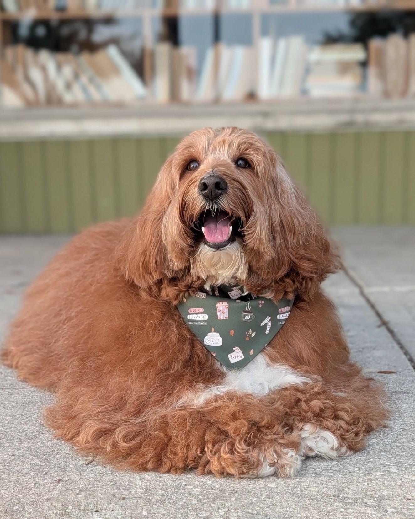 Fall BYOB (build your own bandana)
