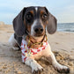 Nantucket Beach Club- MMB Exclusive