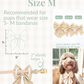 Summer Collar Bows