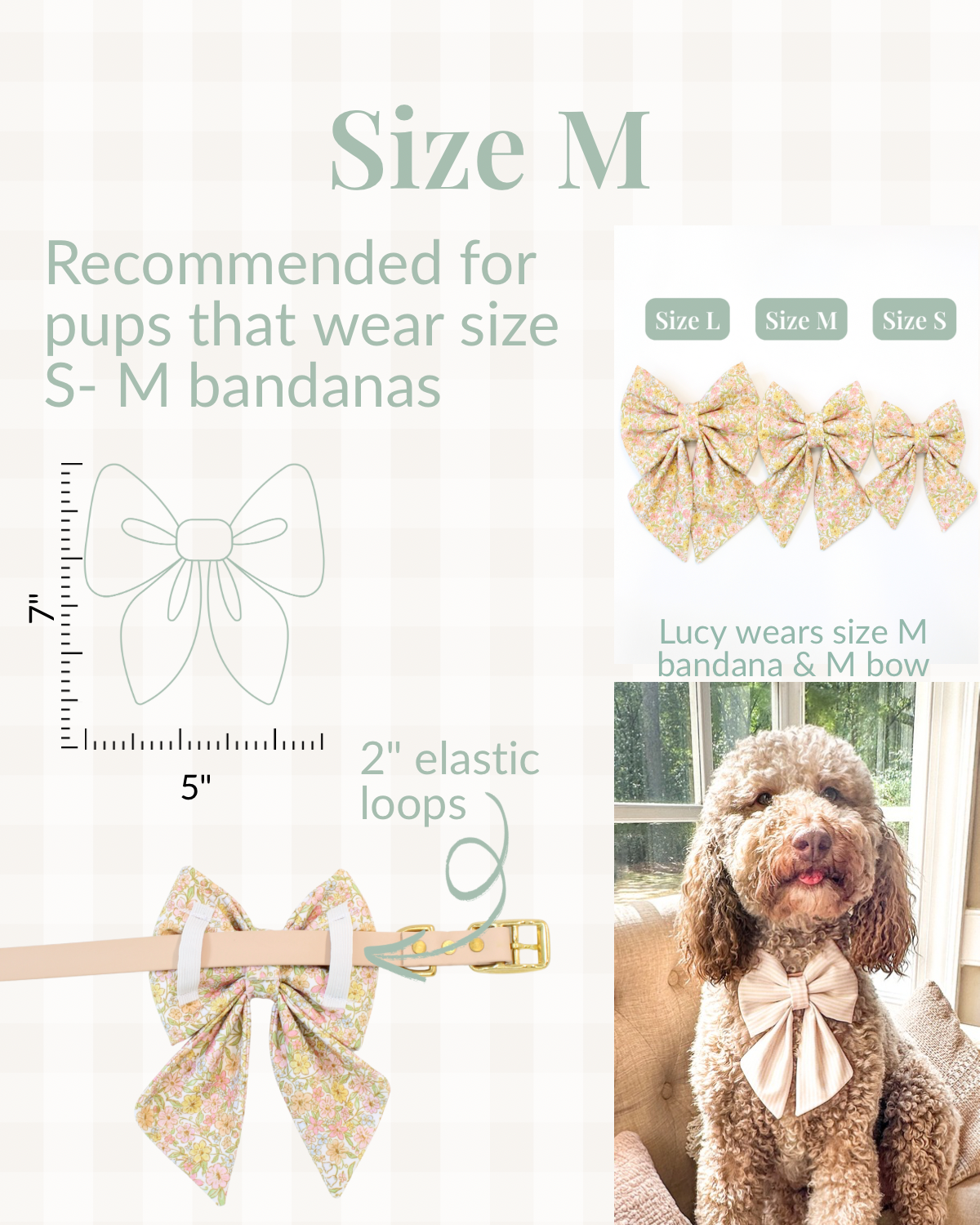 Summer Collar Bows