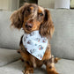 Coastal Lambie- MMB Exclusive- SALE
