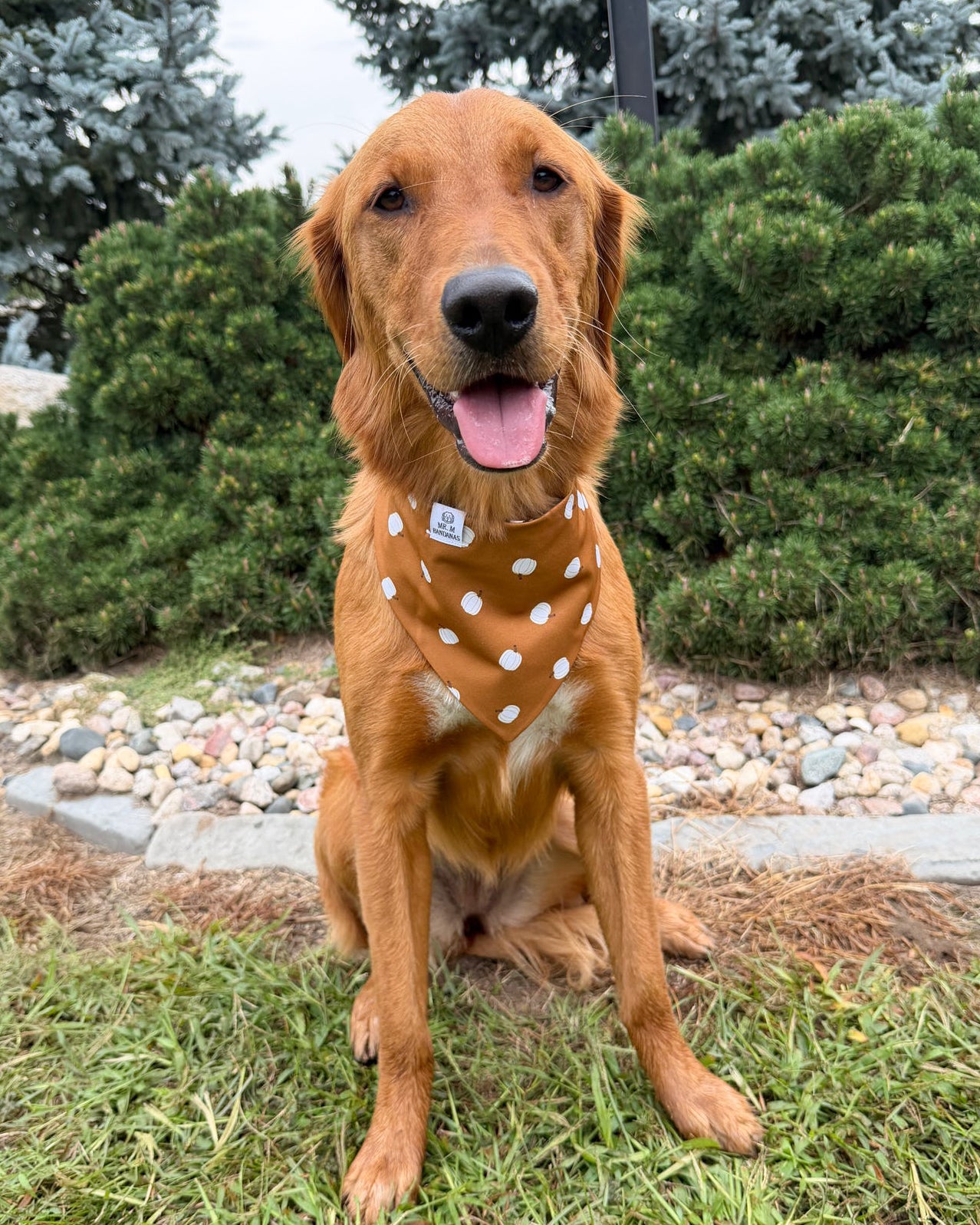 Fall BYOB (build your own bandana)