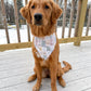 Dog wearing a bandana sitting on a wooden deck with a snowy background