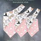 Bows & Boos